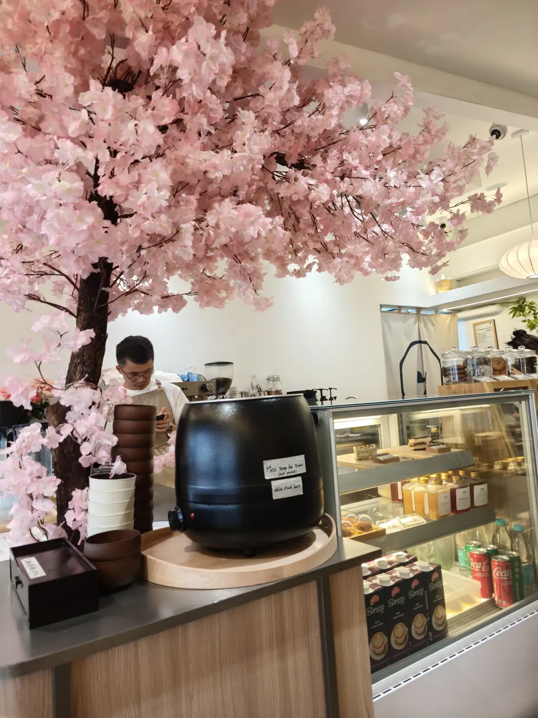 Cherry blossom tree inside Yorimichi